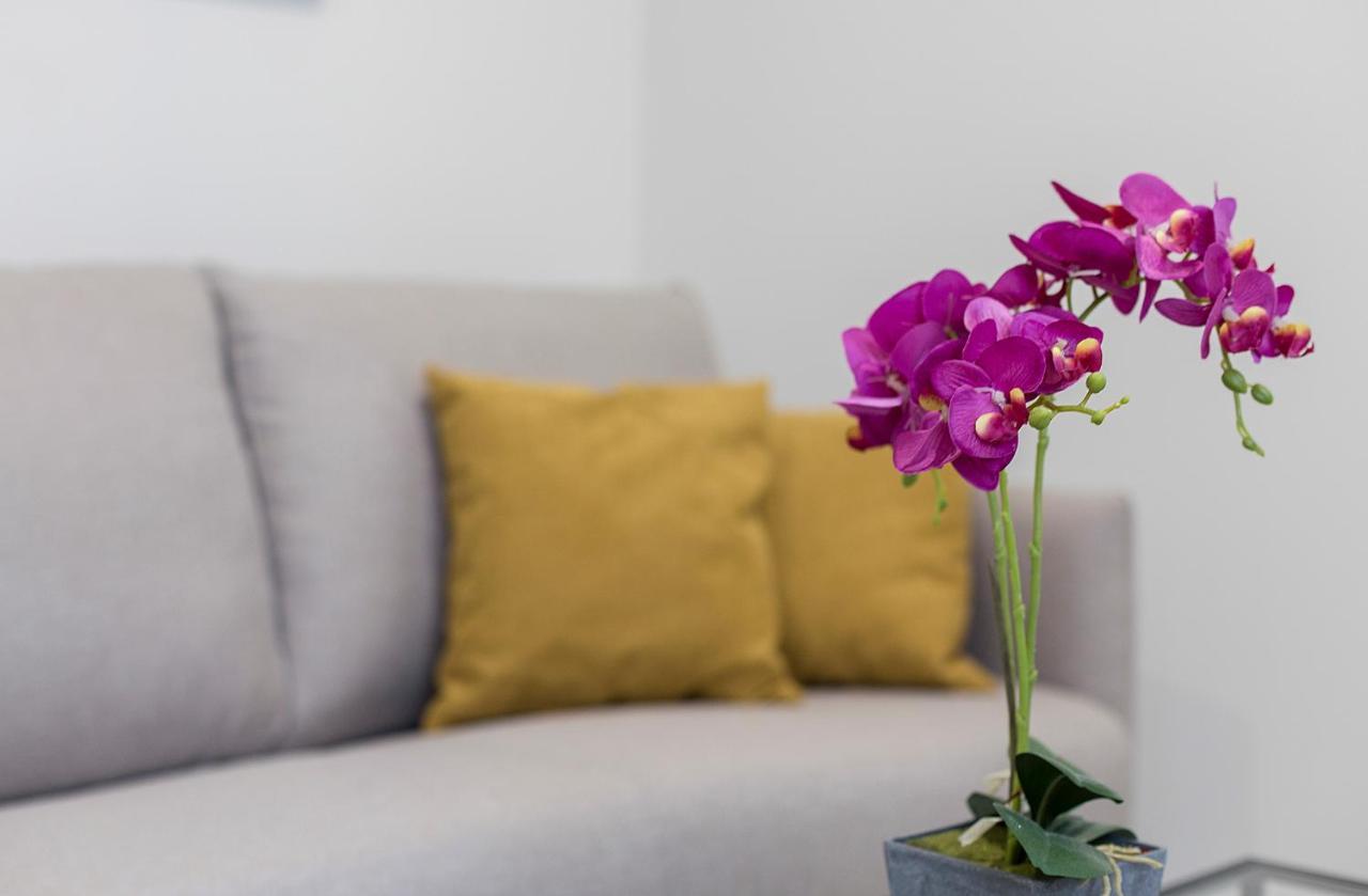Lala Suites Corredera Centro Jerez de la Frontera Eksteriør billede
